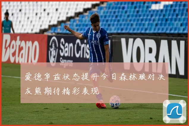 爱德华兹状态提升今日森林狼对决灰熊期待精彩表现