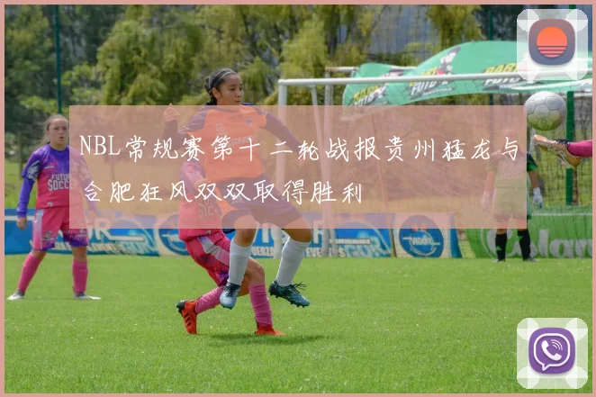 NBL常规赛第十二轮战报贵州猛龙与合肥狂风双双取得胜利