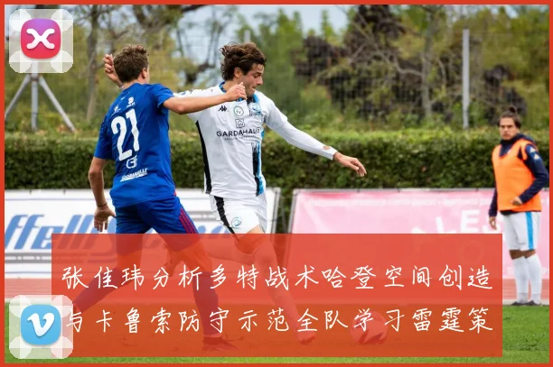 张佳玮分析多特战术哈登空间创造与卡鲁索防守示范全队学习雷霆策略