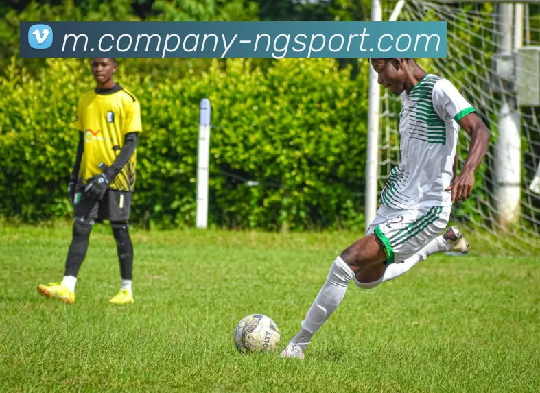 南宫体育平台生态图